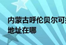 内蒙古呼伦贝尔可提供realme手机维修服务地址在哪