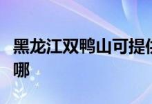 黑龙江双鸭山可提供中兴手机维修服务地址在哪