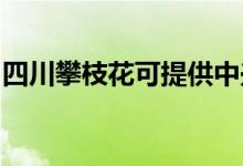 四川攀枝花可提供中兴手机维修服务地址在哪