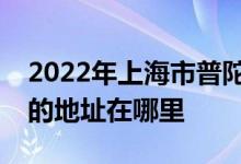 2022年上海市普陀区童的梦艺术幼儿园总部的地址在哪里