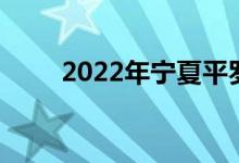 2022年宁夏平罗中学的地址在哪里