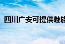 四川广安可提供魅族手机维修服务地址在哪