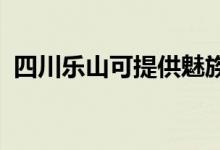 四川乐山可提供魅族手机维修服务地址在哪