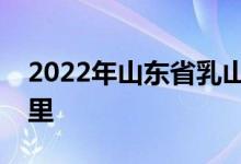 2022年山东省乳山市机关幼儿园的地址在哪里