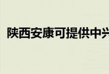 陕西安康可提供中兴手机维修服务地址在哪