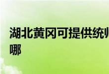 湖北黄冈可提供统帅平板电视维修服务地址在哪