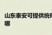 山东泰安可提供统帅平板电视维修服务地址在哪