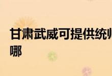 甘肃武威可提供统帅平板电视维修服务地址在哪