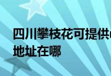 四川攀枝花可提供realme平板电视维修服务地址在哪