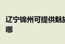 辽宁锦州可提供魅族平板电视维修服务地址在哪