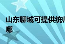 山东聊城可提供统帅平板电视维修服务地址在哪