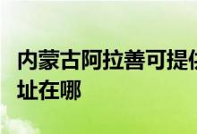 内蒙古阿拉善可提供统帅平板电视维修服务地址在哪