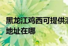 黑龙江鸡西可提供清华同方平板电视维修服务地址在哪