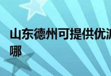 山东德州可提供优派平板电视维修服务地址在哪