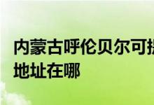 内蒙古呼伦贝尔可提供同洲平板电视维修服务地址在哪