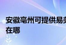 安徽亳州可提供易美逊平板电视维修服务地址在哪