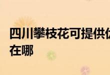 四川攀枝花可提供优派平板电视维修服务地址在哪