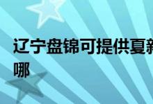 辽宁盘锦可提供夏新平板电视维修服务地址在哪