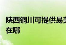 陕西铜川可提供易美逊平板电视维修服务地址在哪