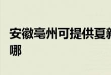 安徽亳州可提供夏新平板电视维修服务地址在哪