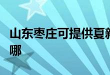 山东枣庄可提供夏新平板电视维修服务地址在哪