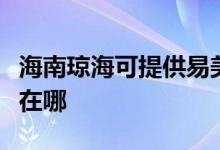 海南琼海可提供易美逊平板电视维修服务地址在哪