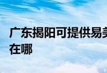 广东揭阳可提供易美逊平板电视维修服务地址在哪