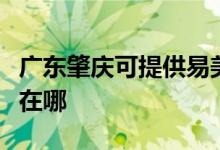 广东肇庆可提供易美逊平板电视维修服务地址在哪