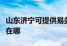 山东济宁可提供易美逊平板电视维修服务地址在哪