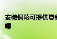 安徽铜陵可提供夏新平板电视维修服务地址在哪