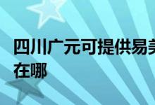 四川广元可提供易美逊平板电视维修服务地址在哪