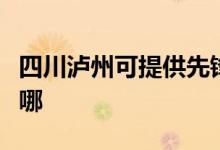 四川泸州可提供先锋平板电视维修服务地址在哪