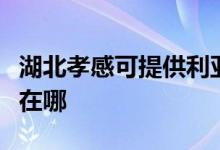 湖北孝感可提供利亚德平板电视维修服务地址在哪