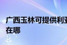 广西玉林可提供利亚德平板电视维修服务地址在哪