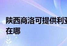 陕西商洛可提供利亚德平板电视维修服务地址在哪