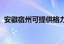 安徽宿州可提供格力空调维修服务地址在哪