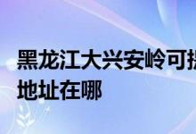 黑龙江大兴安岭可提供康冠平板电视维修服务地址在哪