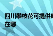 四川攀枝花可提供康冠平板电视维修服务地址在哪