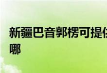 新疆巴音郭楞可提供格力空调维修服务地址在哪