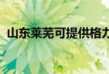 山东莱芜可提供格力空调维修服务地址在哪