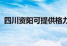 四川资阳可提供格力空调维修服务地址在哪