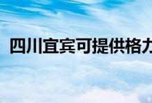 四川宜宾可提供格力空调维修服务地址在哪