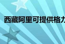 西藏阿里可提供格力空调维修服务地址在哪