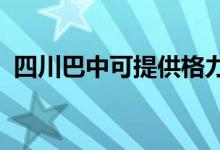 四川巴中可提供格力空调维修服务地址在哪