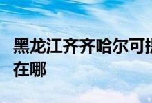 黑龙江齐齐哈尔可提供大金空调维修服务地址在哪