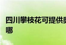 四川攀枝花可提供奥克斯空调维修服务地址在哪