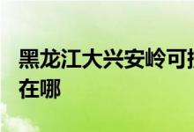 黑龙江大兴安岭可提供TCL空调维修服务地址在哪