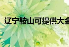 辽宁鞍山可提供大金空调维修服务地址在哪