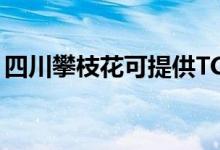 四川攀枝花可提供TCL空调维修服务地址在哪