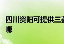 四川资阳可提供三菱电机空调维修服务地址在哪